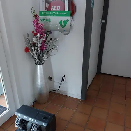 Brit Bosquet Cite Carcassonne