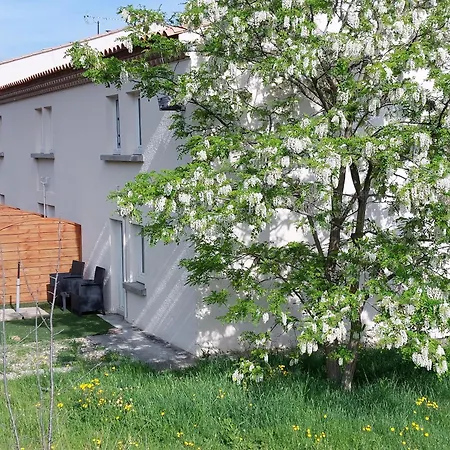 Brit Bosquet Cite Carcassonne