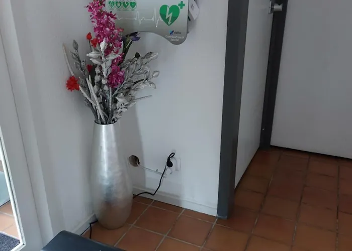 Brit Bosquet Cite Carcassonne