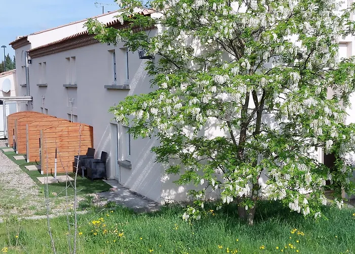 Brit Bosquet Cite Каркассон