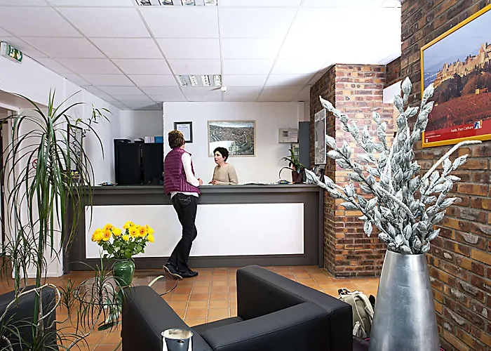 Brit Bosquet Cite 3*