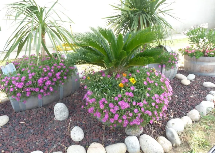 Отель Brit Bosquet Cite Каркассон